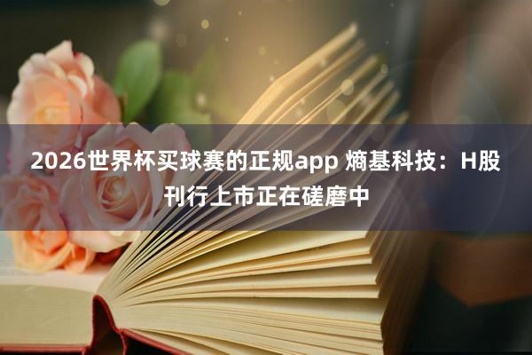 2026世界杯买球赛的正规app 熵基科技：H股刊行上市正在磋磨中