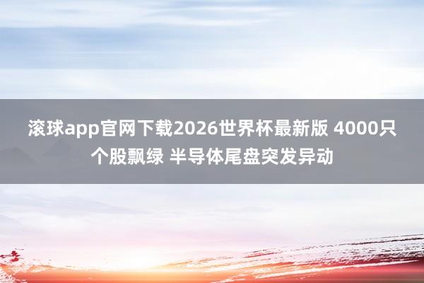 滚球app官网下载2026世界杯最新版 4000只个股飘绿 半导体尾盘突发异动