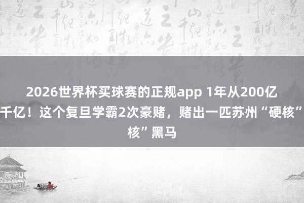2026世界杯买球赛的正规app 1年从200亿冲破千亿！这个复旦学霸2次豪赌，赌出一匹苏州“硬核”黑马