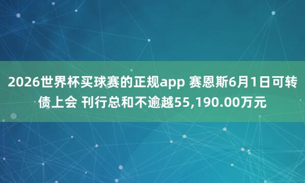 2026世界杯买球赛的正规app 赛恩斯6月1日可转债上会 刊行总和不逾越55,190.00万元