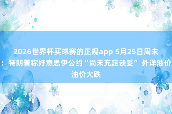 2026世界杯买球赛的正规app 5月25日周末要闻：特朗普称好意思伊公约“尚未充足谈妥” 外洋油价大跌