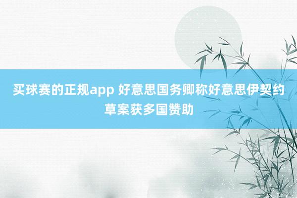买球赛的正规app 好意思国务卿称好意思伊契约草案获多国赞助