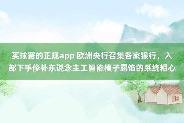 买球赛的正规app 欧洲央行召集各家银行，入部下手修补东说念主工智能模子露馅的系统粗心