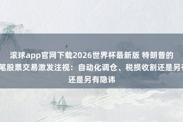 滚球app官网下载2026世界杯最新版 特朗普的3711笔股票交易激发注视：自动化调仓、税损收割还是另有隐讳