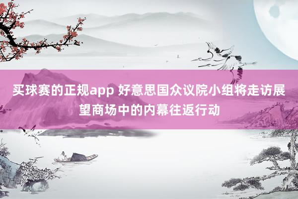买球赛的正规app 好意思国众议院小组将走访展望商场中的内幕往返行动