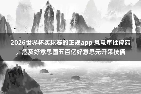 2026世界杯买球赛的正规app 风电审批停滞，危及好意思国五百亿好意思元开采技俩