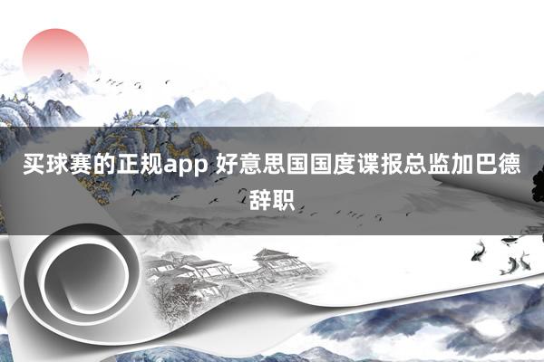买球赛的正规app 好意思国国度谍报总监加巴德辞职