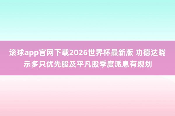 滚球app官网下载2026世界杯最新版 功德达晓示多只优先股及平凡股季度派息有规划