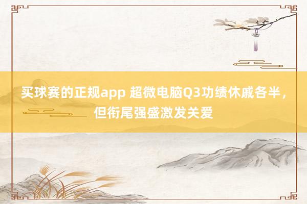 买球赛的正规app 超微电脑Q3功绩休戚各半，但衔尾强盛激发关爱