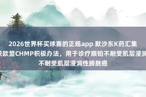 2026世界杯买球赛的正规app 默沙东K药汇集Padcev获欧盟CHMP积极办法，用于诊疗顺铂不耐受肌层浸润性膀胱癌