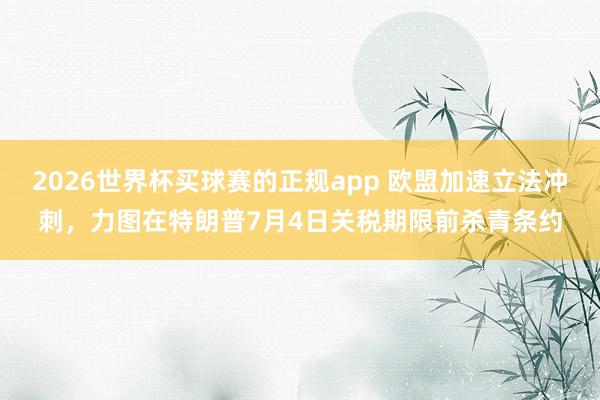 2026世界杯买球赛的正规app 欧盟加速立法冲刺,力图在特朗普7月4日关税期限前杀青条约 2026世界杯买球赛的正规app 欧盟加速立法冲刺,力图在特朗普7月4日关税期限前杀青条约