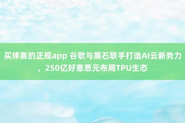 买球赛的正规app 谷歌与黑石联手打造AI云新势力，250亿好意思元布局TPU生态