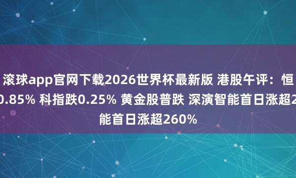 滚球app官网下载2026世界杯最新版 港股午评：恒指跌0.85% 科指跌0.25% 黄金股普跌 深演智能首日涨超260%