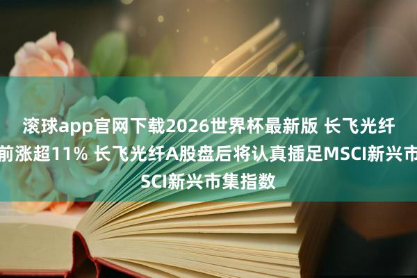 滚球app官网下载2026世界杯最新版 长飞光纤光缆午前涨超11% 长飞光纤A股盘后将认真插足MSCI新兴市集指数