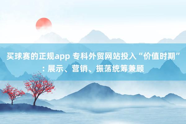 买球赛的正规app 专科外贸网站投入“价值时期”: 展示、营销、振荡统筹兼顾