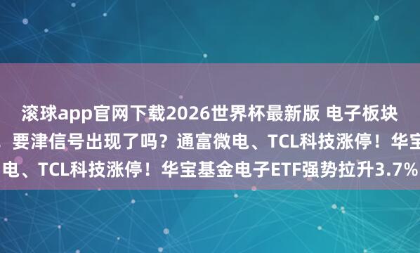 滚球app官网下载2026世界杯最新版 电子板块成交额连合15个月霸榜！要津信号出现了吗？通富微电、TCL科技涨停！华宝基金电子ETF强势拉升3.7%