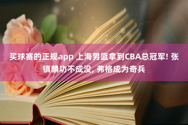 买球赛的正规app 上海男篮拿到CBA总冠军! 张镇麟功不成没, 弗格成为奇兵