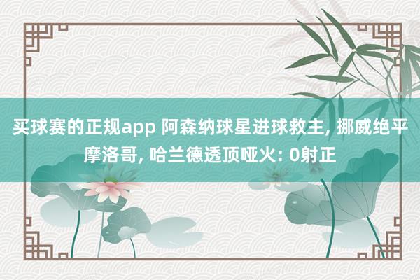 买球赛的正规app 阿森纳球星进球救主, 挪威绝平摩洛哥, 哈兰德透顶哑火: 0射正