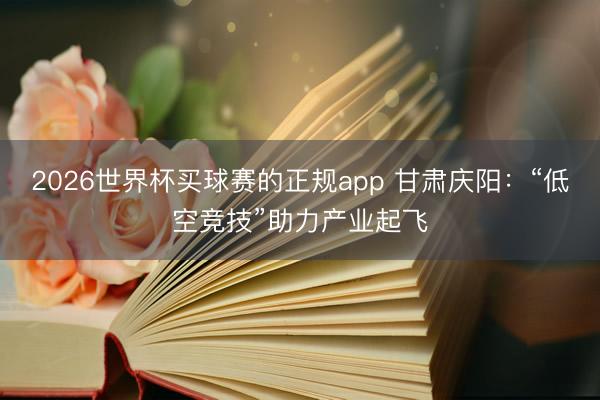2026世界杯买球赛的正规app 甘肃庆阳：“低空竞技”助力产业起飞