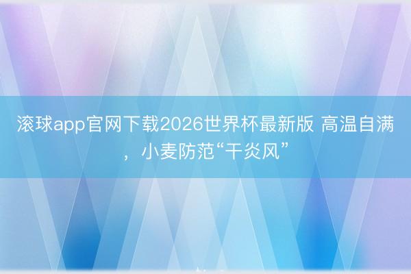 滚球app官网下载2026世界杯最新版 高温自满，小麦防范“干炎风”