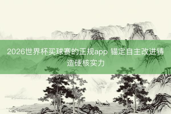 2026世界杯买球赛的正规app 锚定自主改进铸造硬核实力