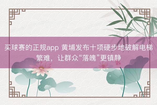 买球赛的正规app 黄埔发布十项硬步地破解电梯繁难，让群众“落魄”更镇静