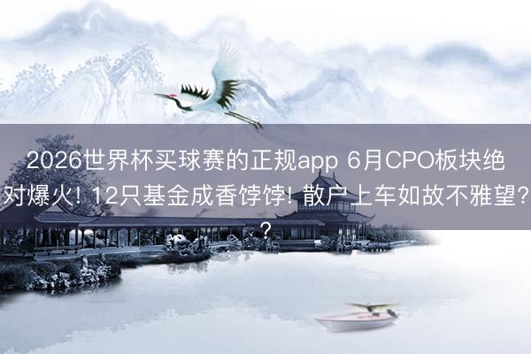2026世界杯买球赛的正规app 6月CPO板块绝对爆火! 12只基金成香饽饽! 散户上车如故不雅望?