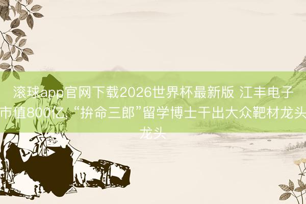 滚球app官网下载2026世界杯最新版 江丰电子市值800亿， “拚命三郎”留学博士干出大众靶材龙头